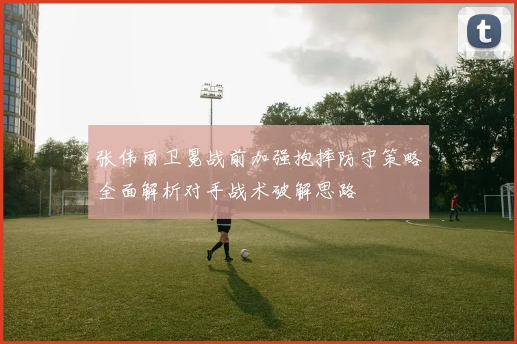 张伟丽卫冕战前加强抱摔防守策略全面解析对手战术破解思路