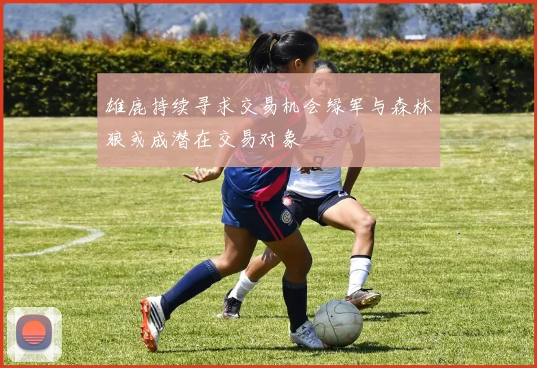 雄鹿持续寻求交易机会绿军与森林狼或成潜在交易对象